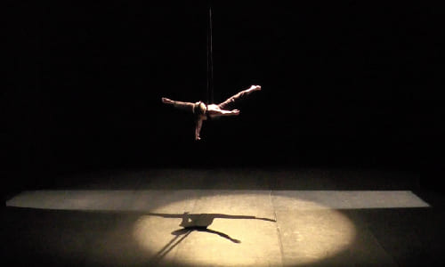 Spectacle de trapezie