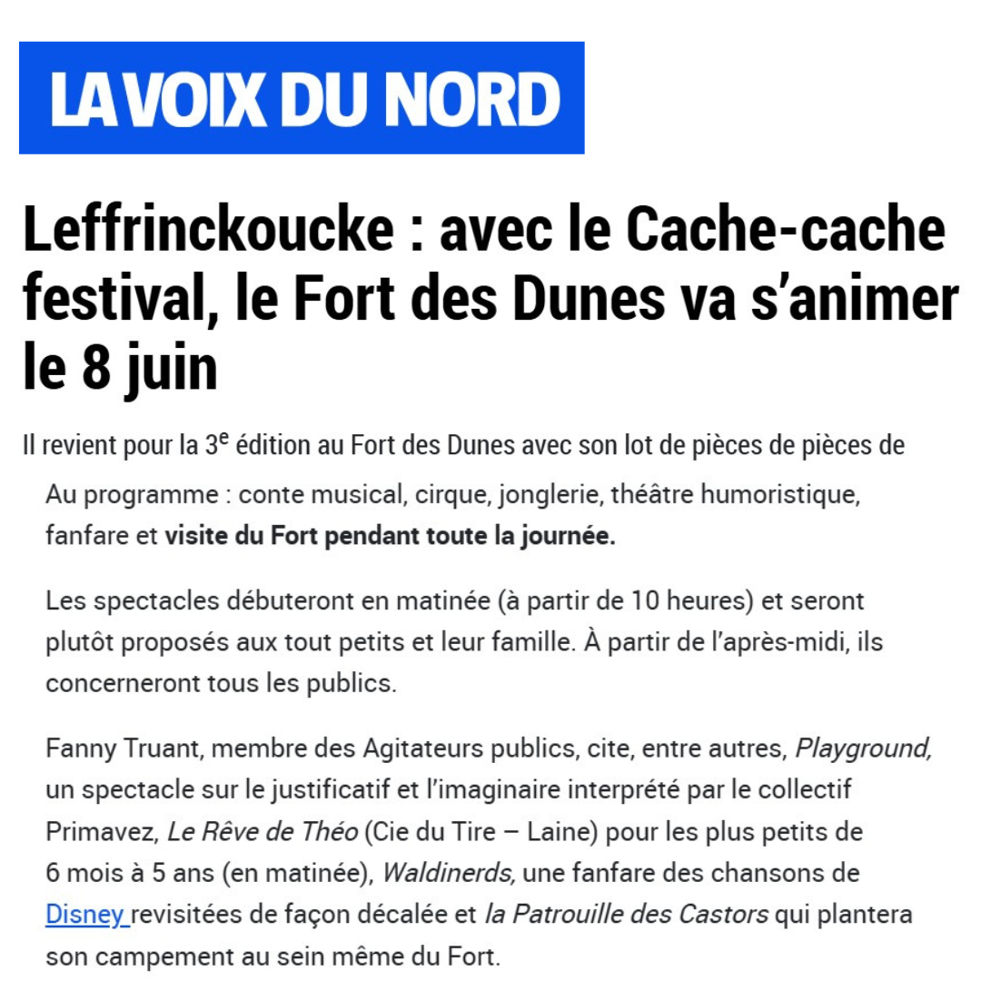 Playground, un spectacle de mât chinoise